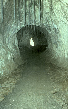 Thuston lava tube Hawaii USGS